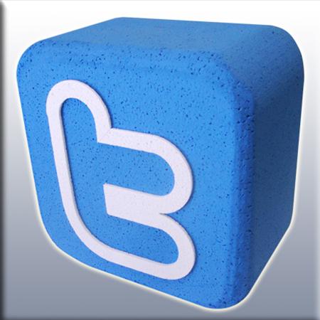 Twitter Brick in Polistirolo