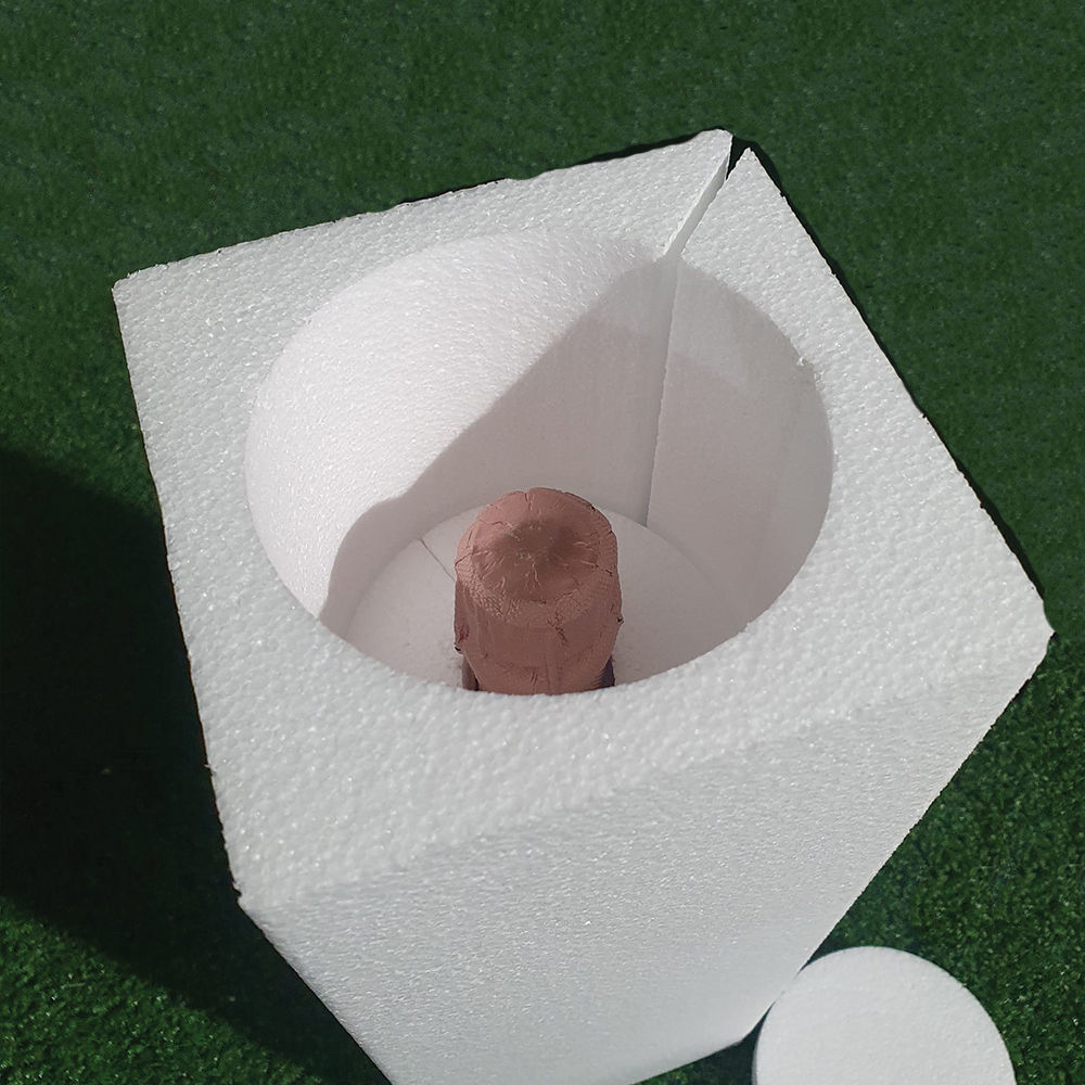 Packaging Antiurto per Bottiglie in Polistirolo