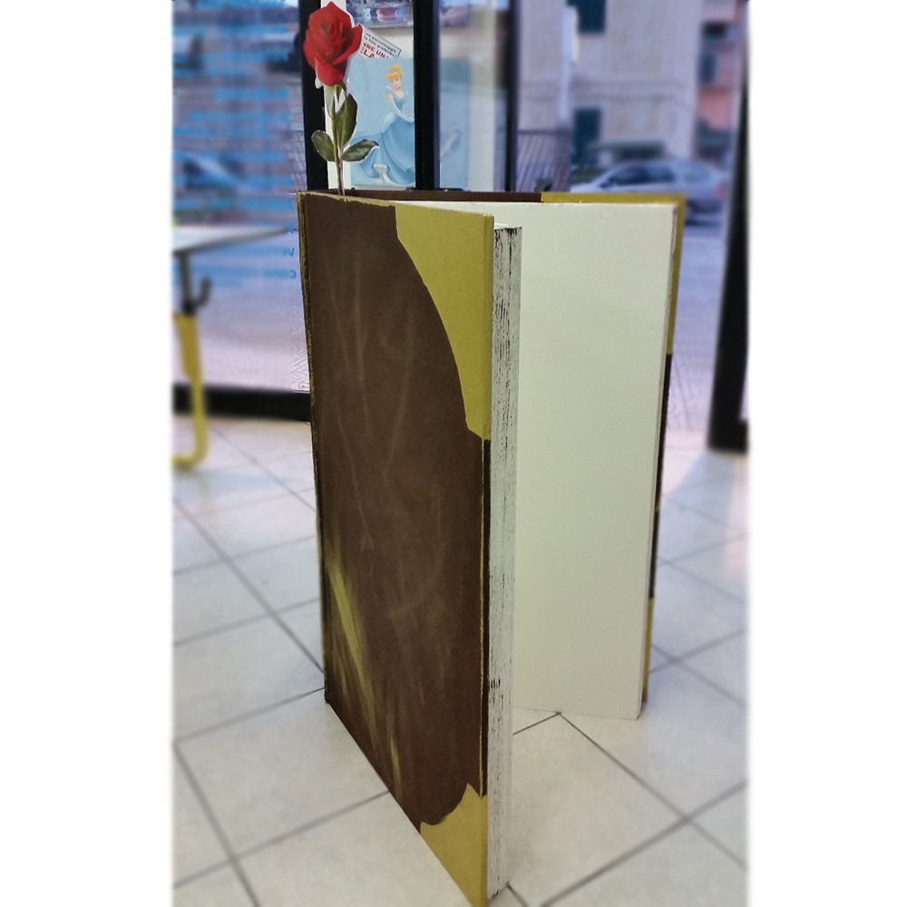 Libro in Polistirolo