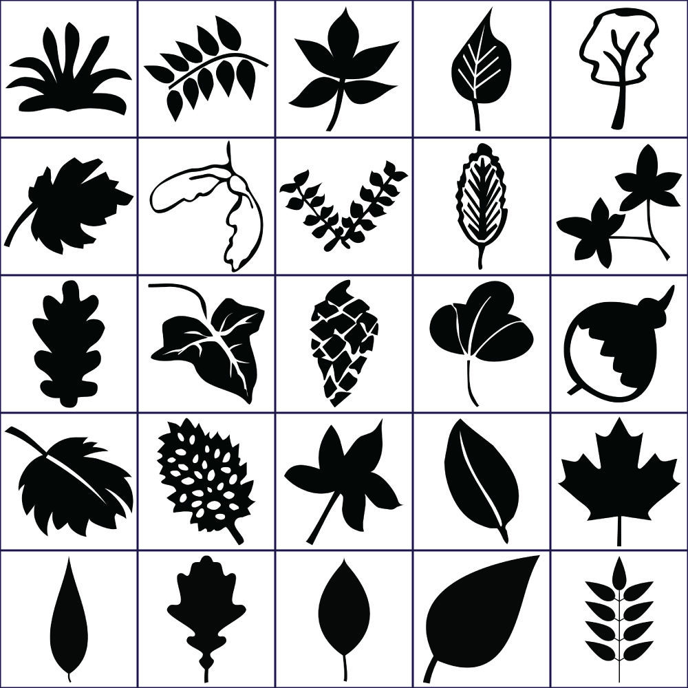 Forme Foglie in Polistirolo