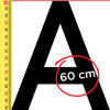 60 cm