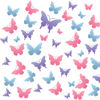 Farfalle Colorate 4