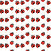 Coccinella 6