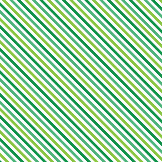 Saint Patrick Day 11