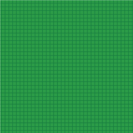 Watermelon Summer 14